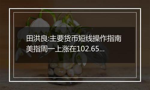 田洪良:主要货币短线操作指南 美指周一上涨在102.65之下遇阻