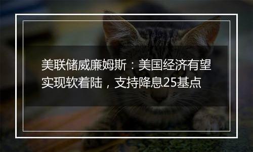 美联储威廉姆斯：美国经济有望实现软着陆，支持降息25基点