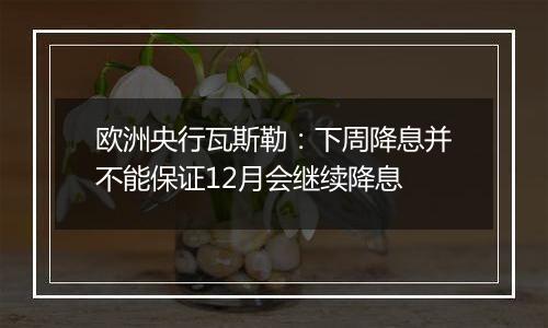 欧洲央行瓦斯勒：下周降息并不能保证12月会继续降息