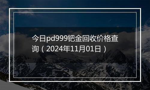 今日pd999钯金回收价格查询（2024年11月01日）