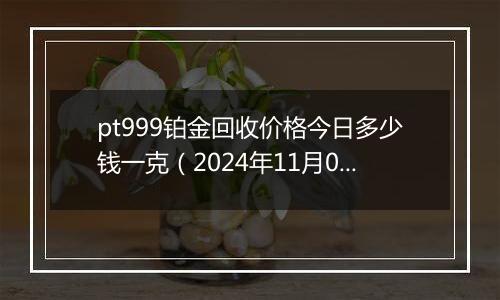 pt999铂金回收价格今日多少钱一克（2024年11月01日）