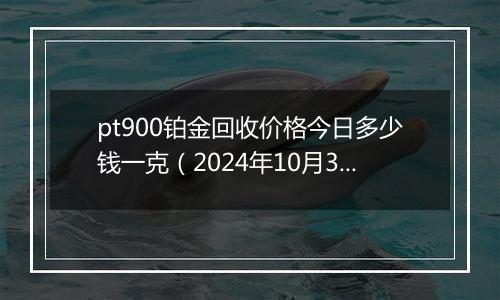 pt900铂金回收价格今日多少钱一克（2024年10月31日）