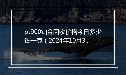 pt900铂金回收价格今日多少钱一克（2024年10月30日）