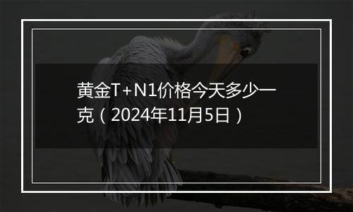 黄金T+N1价格今天多少一克（2024年11月5日）