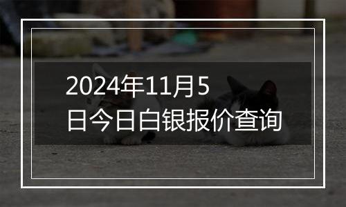 2024年11月5日今日白银报价查询