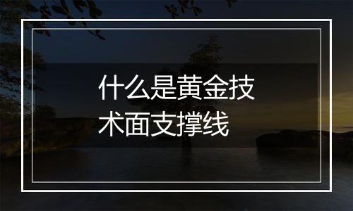 什么是黄金技术面支撑线