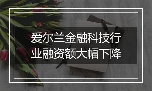 爱尔兰金融科技行业融资额大幅下降