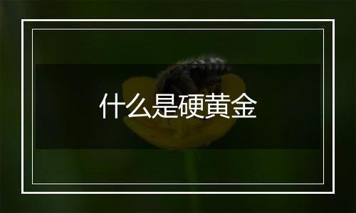 什么是硬黄金