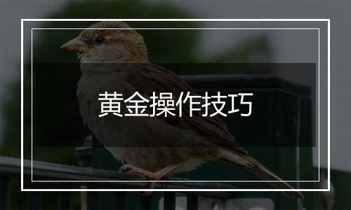 黄金操作技巧