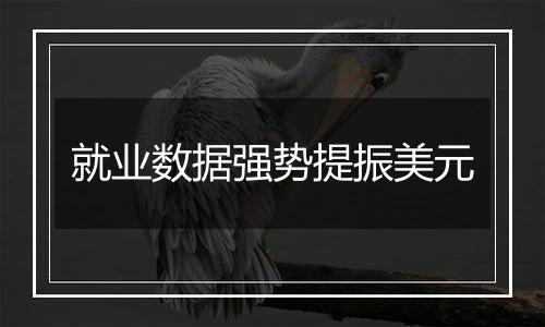 就业数据强势提振美元