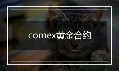 comex黄金合约