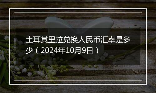 土耳其里拉兑换人民币汇率是多少（2024年10月9日）