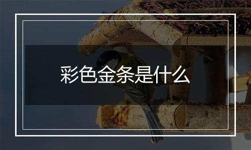 彩色金条是什么