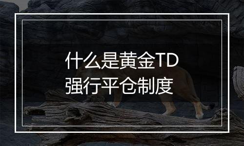 什么是黄金TD强行平仓制度