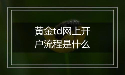 黄金td网上开户流程是什么