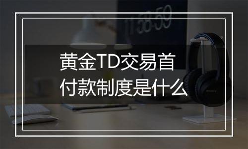 黄金TD交易首付款制度是什么