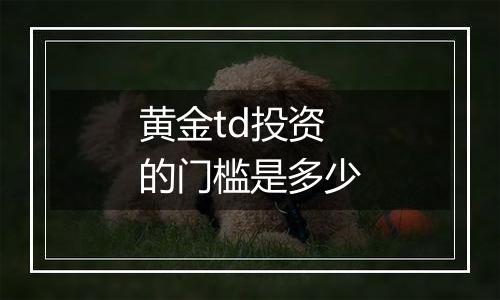 黄金td投资的门槛是多少