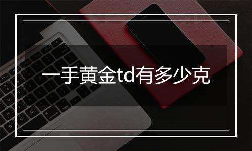 一手黄金td有多少克