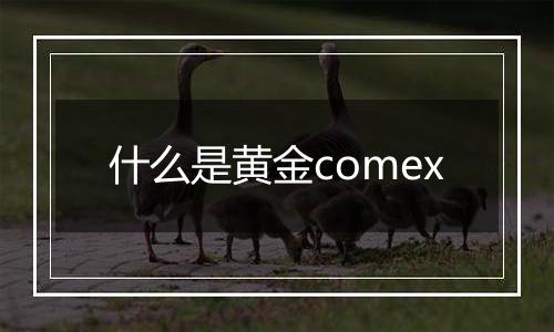 什么是黄金comex