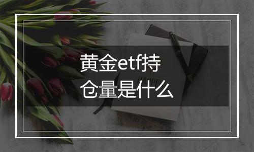 黄金etf持仓量是什么