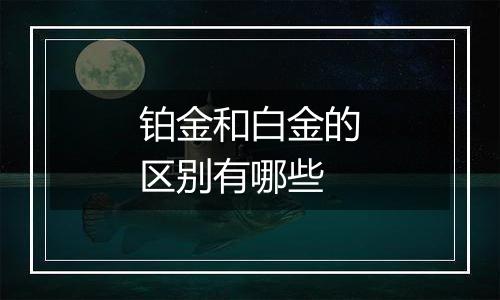 铂金和白金的区别有哪些