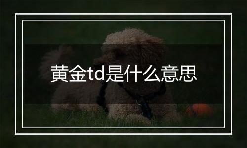 黄金td是什么意思