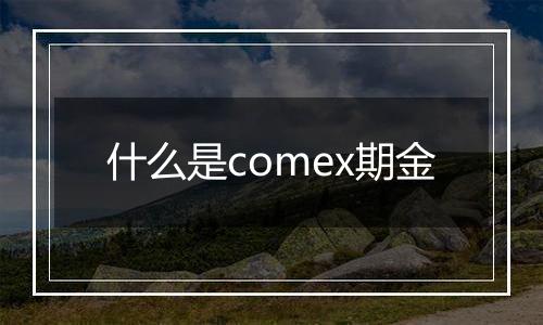 什么是comex期金