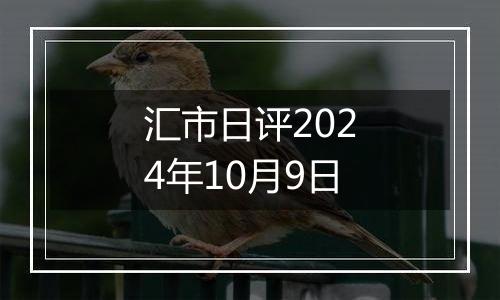 汇市日评2024年10月9日