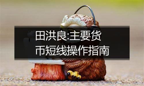 田洪良:主要货币短线操作指南