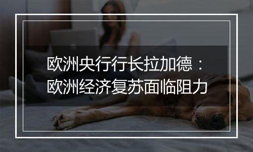 欧洲央行行长拉加德：欧洲经济复苏面临阻力