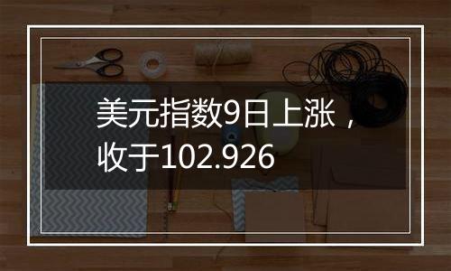 美元指数9日上涨，收于102.926