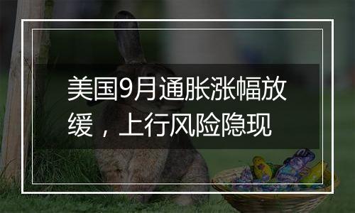 美国9月通胀涨幅放缓，上行风险隐现