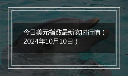 今日美元指数最新实时行情（2024年10月10日）