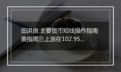 田洪良:主要货币短线操作指南 美指周三上涨在102.95之下遇阻