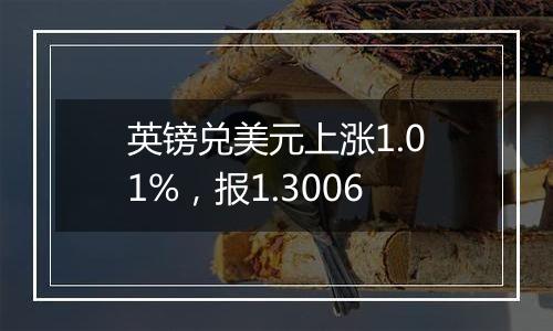 英镑兑美元上涨1.01%，报1.3006