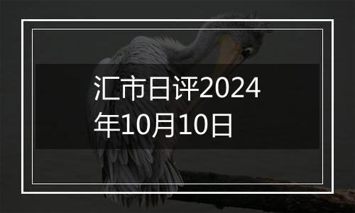 汇市日评2024年10月10日