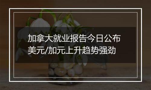 加拿大就业报告今日公布 美元/加元上升趋势强劲