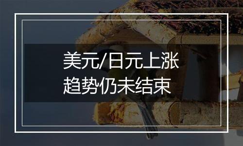 美元/日元上涨趋势仍未结束