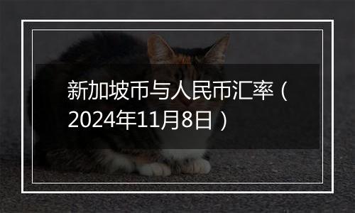 新加坡币与人民币汇率（2024年11月8日）