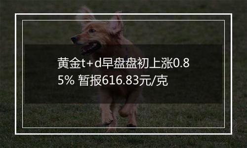 黄金t+d早盘盘初上涨0.85% 暂报616.83元/克