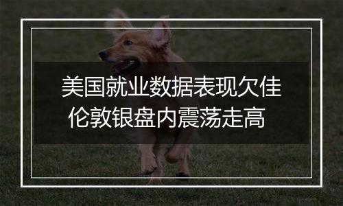 美国就业数据表现欠佳 伦敦银盘内震荡走高