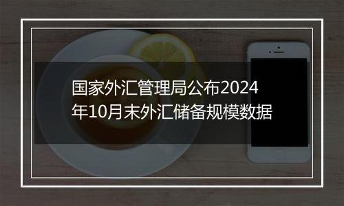 国家外汇管理局公布2024年10月末外汇储备规模数据