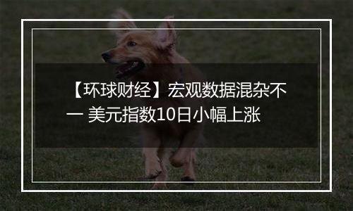 【环球财经】宏观数据混杂不一 美元指数10日小幅上涨