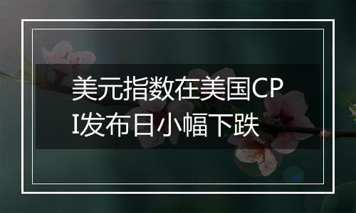 美元指数在美国CPI发布日小幅下跌