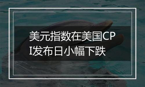 美元指数在美国CPI发布日小幅下跌