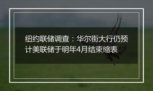 纽约联储调查：华尔街大行仍预计美联储于明年4月结束缩表