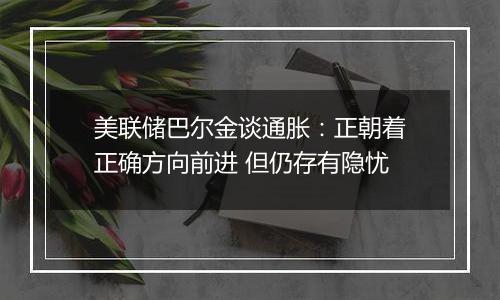 美联储巴尔金谈通胀：正朝着正确方向前进 但仍存有隐忧