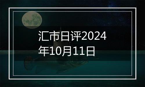 汇市日评2024年10月11日