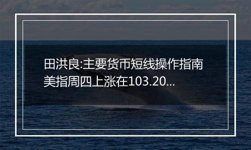 田洪良:主要货币短线操作指南 美指周四上涨在103.20之下遇阻