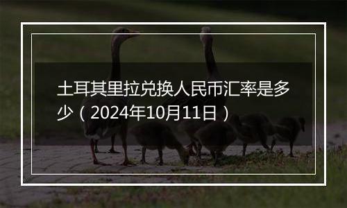 土耳其里拉兑换人民币汇率是多少（2024年10月11日）